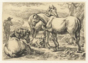 Três cavalos
Animais (título da série)