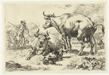 Uma vaca mentirosa e mijona
Animais (título da série)