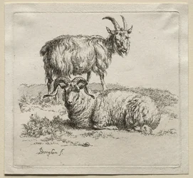 Carneiro e Cabra.