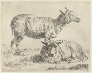 Staand en liggend schaap Schapen (título da série) Animais desenhados à vida e impressos na água pelo ar forte pelo Studio and Art of Nicolai Berchem (título da série)
