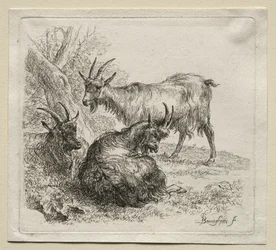 Três cabras.