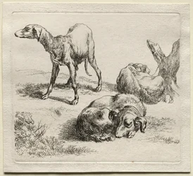 Três cães de caça.