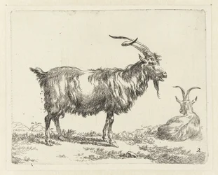 Twee geiten
Geiten (título da série)
Animalia ad vivum delineata et aqua forti aeri impressa Studio et Arte Nicolai Berchemi (título da série)