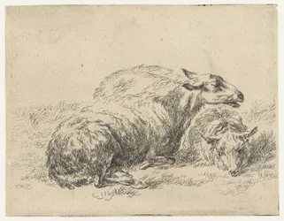 Twee liggende schapen
Schapen (título da série)
Animalia ad vivum delineata et aqua forti aeri impressa Studio et Arte Nicolai Berchemi (título da série)