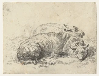 Twee liggende schapen
schapen (título da série)
Animalia ad vivum delineata et aqua forti aeri impressa Studio et Arte Nicolai Berchemi (título da série)