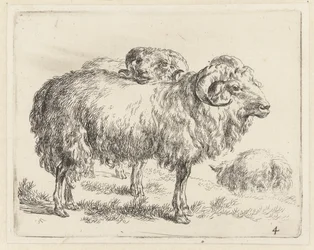 Dois carneiros e uma ovelha
Ovelhas (título da série)
Animalia ad vivum delineata et aqua forti aeri impressa Studio et Arte Nicolai Berchemi (título da série)