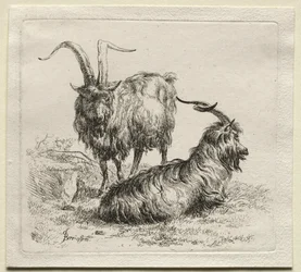 Duas cabras.