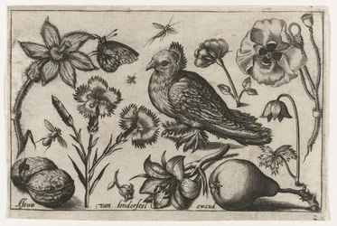 Flores, uma pêra e um pombo
Pássaros, flores, insectos, etc. (título da série)