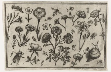Flores, uma mosca e um caracol
Pássaros, flores, insectos, etc. (título da série)