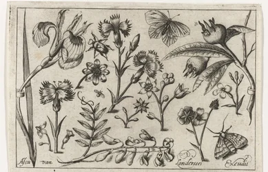 Flores e borboletas
Pássaros, flores, insectos, etc. (título da série)