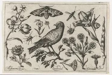 Flores, insetos, olho de pavão noturno e um corvo Pássaros, flores, insetos etc. (título da série)