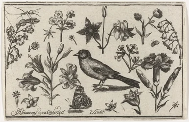 Flores, borboleta e um pássaro Pássaros, flores, insetos etc. (título da série)