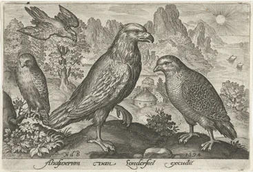 Águia e outras aves de rapina Pássaros e insetos (título da série)