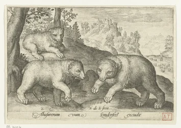 Três ursos
Animalivm qvadrvpedvm (título da série)
Animais em paisagens (título da série)