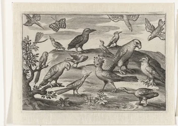 Lúpulo e outras aves Pássaros e insetos (título da série)