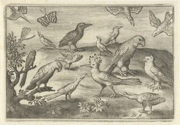 Lúpulo e outras aves
Aves e insectos (título da série)