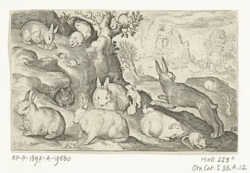 Coelhos, esquilo, porquinho-da-índia e rato
Animalivm qvadrvpedvm (título da série)
Animais em paisagens (título da série)