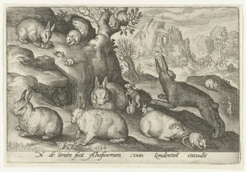 Coelhos, esquilo, porquinho-da-índia e rato
Animalivm qvadrvpedvm (título da série)
Animais em paisagens (título da série)