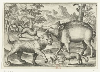 Leopardo, javali e dois cães Animalivm qvadrvpedvm (título da série) Animais em paisagens (título da série)