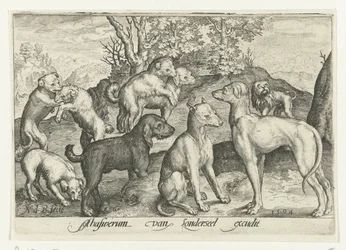 Nove cães Animalivm qvadrvpedvm (título da série) Animais em paisagens (título da série)