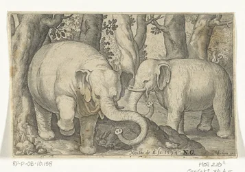 Dois elefantes
Animalivm qvadrvpedvm (título da série)
Animais em paisagens (título da série)