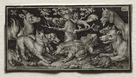 Rã de duas cabeças cercada por animais, 1594.