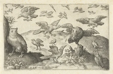 Coruja com presa predada por outras aves Pássaros e insetos (título da série)