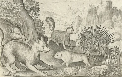 Javalis, raposas, castores, porcos-espinhos e sapos. 1621