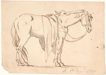 Um cavalo com um cobertor nele