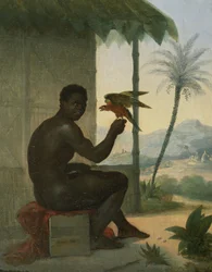 Brasileiro negro com ave tropical