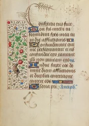 Página de texto decorada