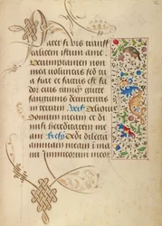 Página de texto decorada