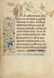Página de texto decorada