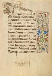 Página de texto decorada