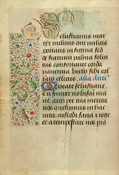 Página de texto decorada