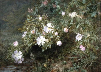 Um estudo das Rosas Cães, c.1900 (óleo sobre tela)