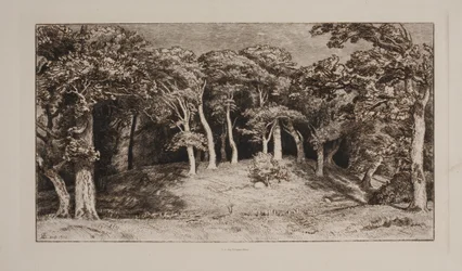 O jardim do cavalo