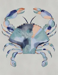 Pintura de um caranguejo-azul-costeiro