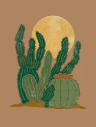 Lua dos Cactos do Deserto
