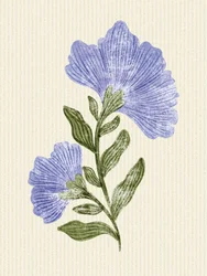 Plantas com tons suaves de pervinca
