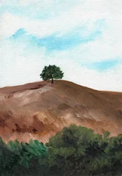 Árvore da Colina Solitária