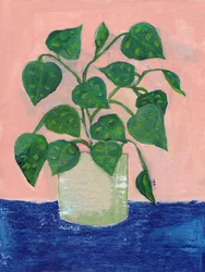 Planta de interior em vaso, de cores vivas