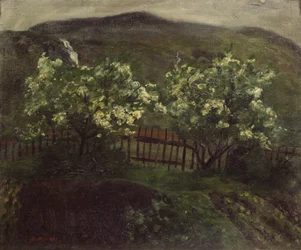 Chuva de Primavera e cereja