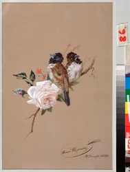 Two Birds On A Rose - Trabalho de Nikolai Yegorovich Sverchkov (Nicholas Swertschkoff) (1817-1898), aguarela e tinta sobre papel