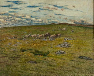 Ovelhas de pasto