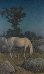 Cavalo branco ao anoitecer