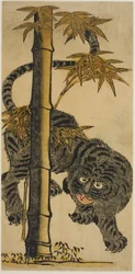Bambu e Tigre