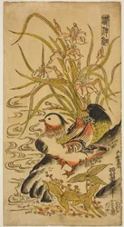 Patos Mandarin, da série "Kashinsai"