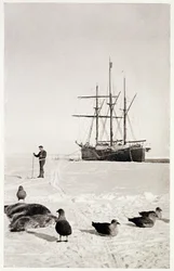 O "Fram" na Baía das Baleias, de "The South Pole: Um relato da expedição antárctica norueguesa no 