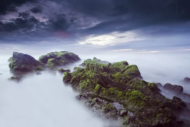 Paisagem marinha etérea e coberta de musgo